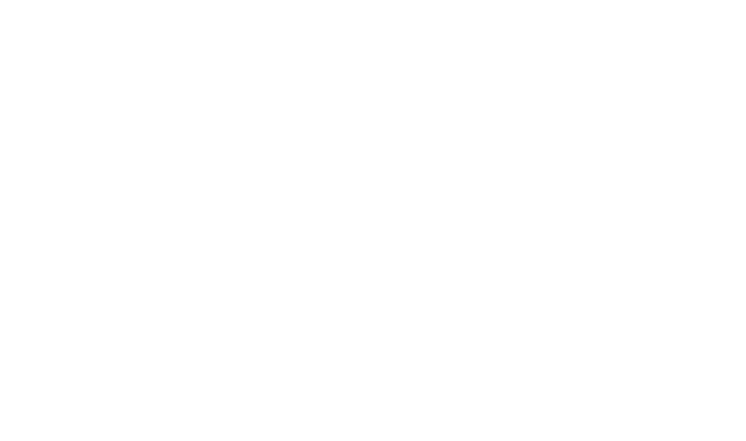 lyrinn logo wc